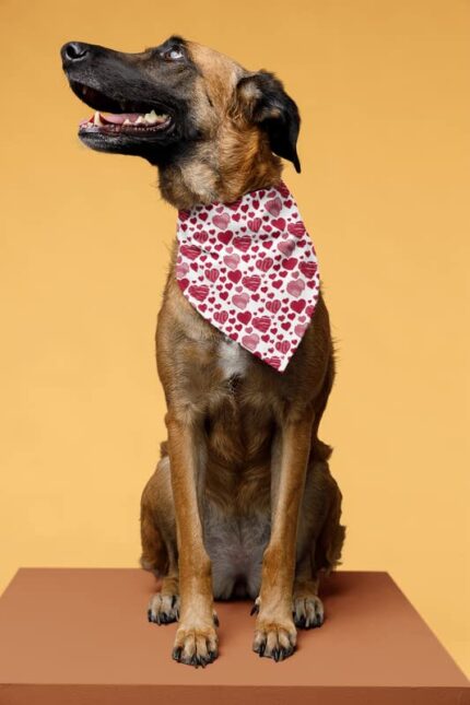 Dog Bandanas RED Heart