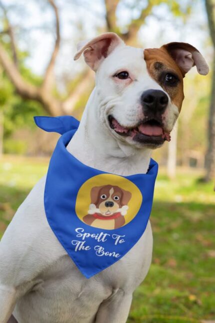 Spoilt to the Bone Dog Bandanas - Image 2