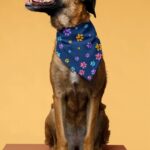 Dog Bandanas Multiple PAW
