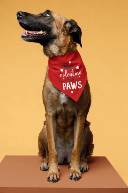 Dog Bandanas My Valentine His Paws