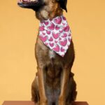 Dog Bandanas Pink Heart Large