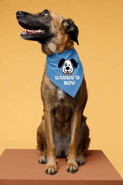 Daddy Boy Dog Bandanas