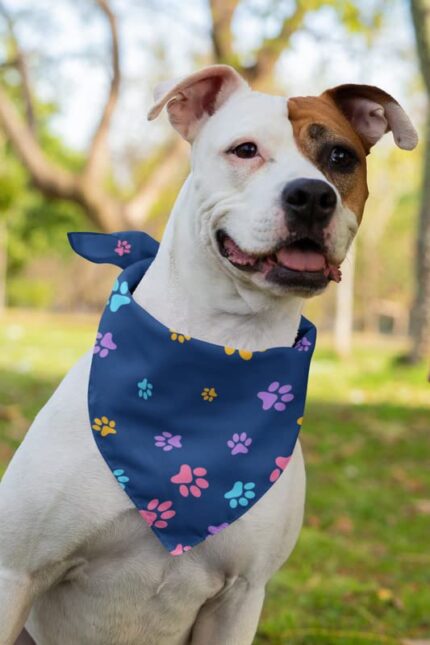 Dog Bandanas Multiple PAW