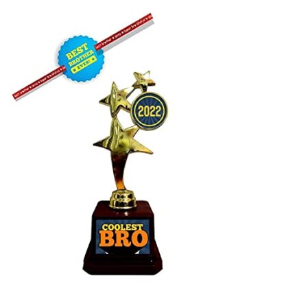 TheYaYaCafe Birthday Gift for Brother, Coolest Bro Trophy Award - Star Golden - Image 1