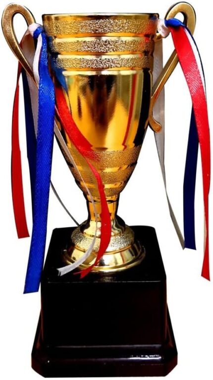 TheYaYaCafe Birthday Gift for Sister, Worlds Best Didi Trophy Award for Sister - Champion Golden - Image 4