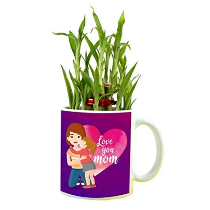 TheYaYaCafe Birthday Gifts Love You Mom Lucky Bamboo Planter with Mug Plants - 2 Layer Mother's Day - Image 1