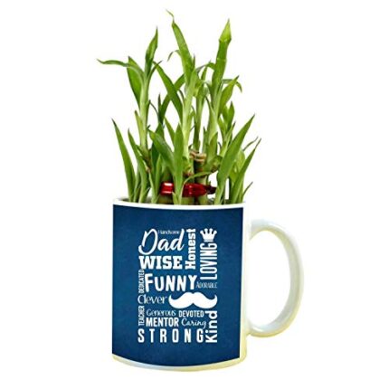 TheYaYaCafe Birthday Gifts Strong Funny Dad Lucky Bamboo Planter with Mug Plants - 2 Layer Father's Day - Image 1