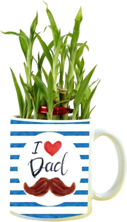 TheYaYaCafe Birthday Gifts for Father Lucky Bamboo Plant Indoor Mug Planter Pot I Love Dad Feng Shui - Image 1