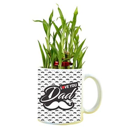 TheYaYaCafe Birthday Gifts for Father Lucky Bamboo Plant Indoor Mug Planter Pot Love You Dad Feng Shui - Image 1