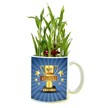 TheYaYaCafe Birthday Gifts for Father Lucky Bamboo Plant Indoor Mug Planter Pot My Best Dad Feng Shui - Image 1