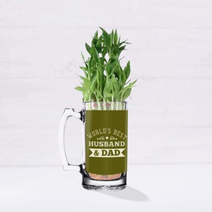TheYaYaCafe Birthday Lucky Bamboo Planter Indoor Plants_1 Tier with Printed Mug - Worlds Best Husband and Dad - Image 1