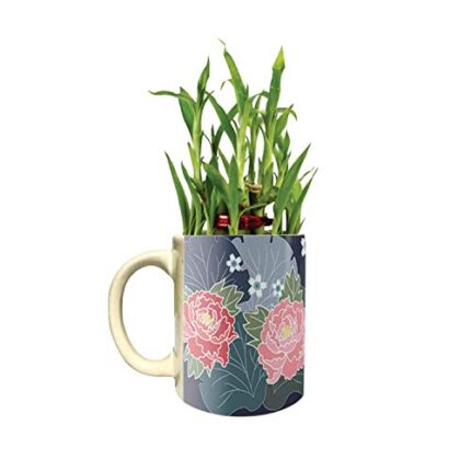 TheYaYaCafe Floral Angelic Lucky Bamboo Mug Planter Indoor Plants - 2 Tier Bamboo Feng Shui - Image 1