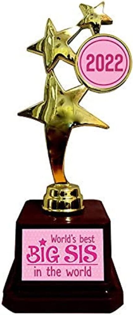 TheYaYaCafe Rakhi Gift for Sister, World Best Big Sis Trophy Award for Sister - Champion Golden - Image 1