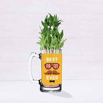 TheYaYaCafe Birthday Gifts for Mom Lucky Bamboo Planter Indoor Plants_1 Tier with Printed Mug - Parent - Image 3