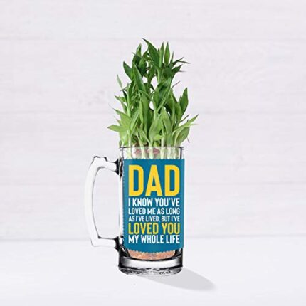 TheYaYaCafe Birthday Gifts for Mom Lucky Bamboo Planter Indoor Plants_1 Tier with Printed Mug - Parent - Image 4