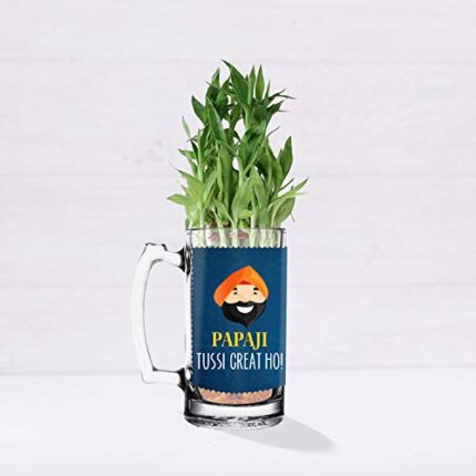 TheYaYaCafe Birthday Gifts for Mom Lucky Bamboo Planter Indoor Plants_1 Tier with Printed Mug - Parent - Image 7