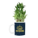 TheYaYaCafe Birthday Gifts Bamboo Plant Indoor Printed Mug Planter | Air Purifying | Green Gifts for Husband | Feng Shui - Image 3