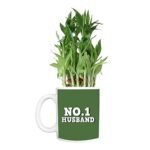 TheYaYaCafe Birthday Gifts Bamboo Plant Indoor Printed Mug Planter | Air Purifying | Green Gifts for Husband | Feng Shui - Image 8