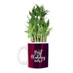 TheYaYaCafe Birthday Gifts Bamboo Plant Indoor Printed Mug Planter | Air Purifying | Green Gifts for Husband | Feng Shui - Image 4