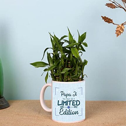 TheYaYaCafe Lucky Bamboo Mug Planter Indoor Plants - 2 Layer Feng Shui for Wealth, Prosperity for Father-in-Law - Image 11