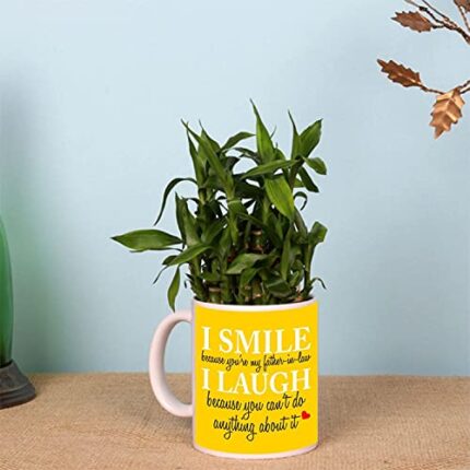 TheYaYaCafe Lucky Bamboo Mug Planter Indoor Plants - 2 Layer Feng Shui for Wealth, Prosperity for Father-in-Law - Image 7