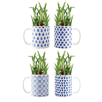 YaYa Cafe Blue Pottery Indigo Charming Lucky Bamboo Mug Planter Indoor Plants Set of 4-2 Tier Bamboo Feng Shui - Image 1