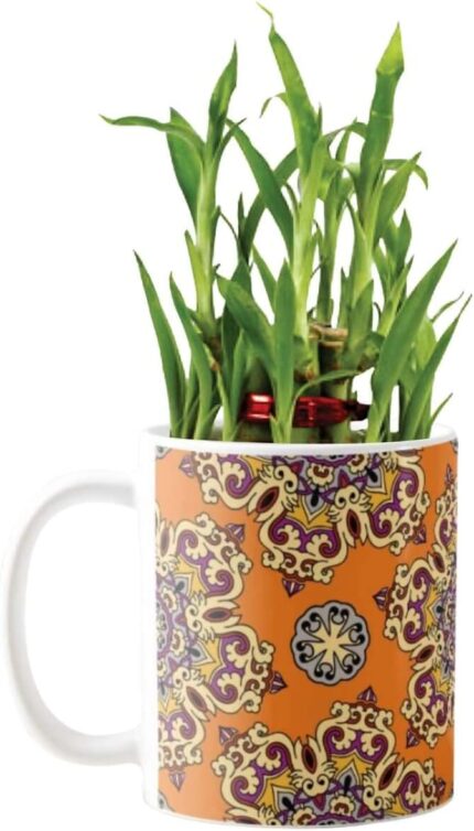 YaYa Cafe Blue Pottery Indigo Fabulous Lucky Bamboo Mug Planter Indoor Plants Set of 2-2 Tier Bamboo Feng Shui - Image 4