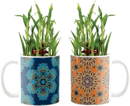 YaYa Cafe Blue Pottery Indigo Fabulous Lucky Bamboo Mug Planter Indoor Plants Set of 2-2 Tier Bamboo Feng Shui - Image 1