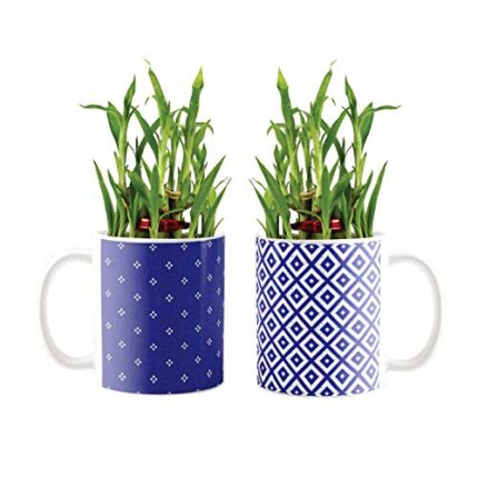 YaYa Cafe Blue Pottery Indigo Florid Lucky Bamboo Mug Planter Indoor Plants Set of 2-2 Tier Bamboo Feng Shui - Image 1