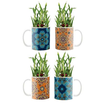 YaYa Cafe Blue Pottery Indigo Lovely Lucky Bamboo Mug Planter Indoor Plants Set of 4-2 Tier Bamboo Feng Shui - Image 1