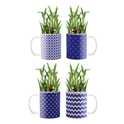 YaYa Cafe Blue Pottery Indigo Polka Dot Lucky Bamboo Mug Planter Indoor Plants Set of 4-2 Tier Bamboo Feng Shui - Image 1