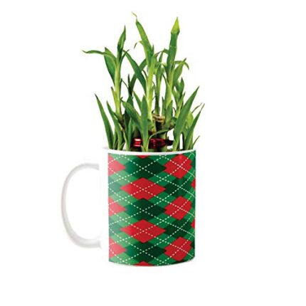 YaYa Cafe Christmas Gifts Marvelous Lucky Bamboo Mug Planter Indoor Plants Feng Shui for Wealth, Prosperity - Image 1