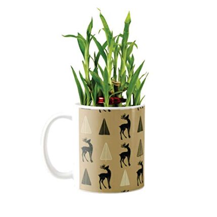 YaYa Cafe Christmas Gifts Reindeer Xmas Tree Lucky Bamboo Mug Planter Indoor Plants - 2 Layer Feng Shui for Wealth, Prosperity - Image 1