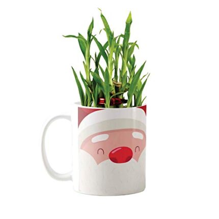 YaYa Cafe Christmas Gifts Santa Claus Lucky Bamboo Mug Planter Indoor Plants - 2 Layer Feng Shui for Wealth, Prosperity - Image 1
