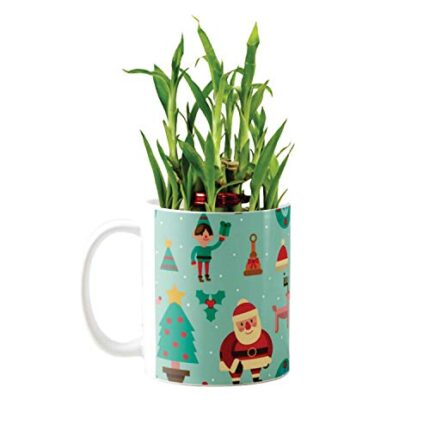 YaYa Cafe Christmas Gifts Santa Claus Lucky Bamboo Mug Planter Indoor Plants - 2 Layer Feng Shui for Wealth, Prosperity - Image 1