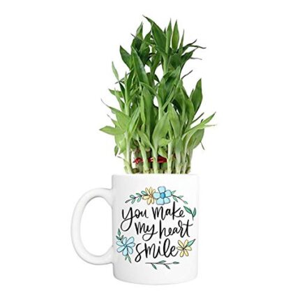 YaYa Cafe Christmas New Year Gifts Lucky Bamboo Planter Indoor Mug Plants You Make My Heart Smile - 2 Layer - Image 1