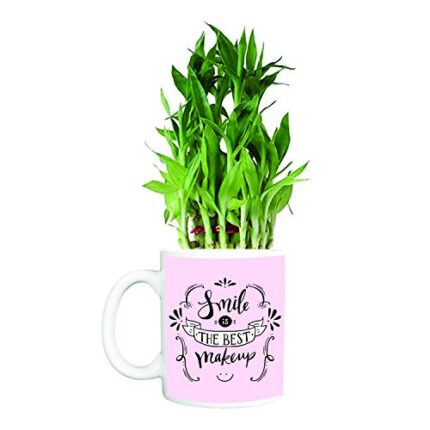 YaYa Cafe Christmas New Year Gifts Smile Makeup Lucky Bamboo Planter with Mug Plants -2 Layer - Image 1