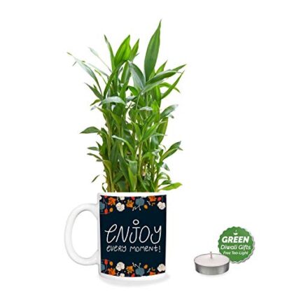YaYa Cafe Diwali Gifts Enjoy,Lucky Bamboo Planter with Mug Pot and Free Tea Light - 2 Layer - Image 1
