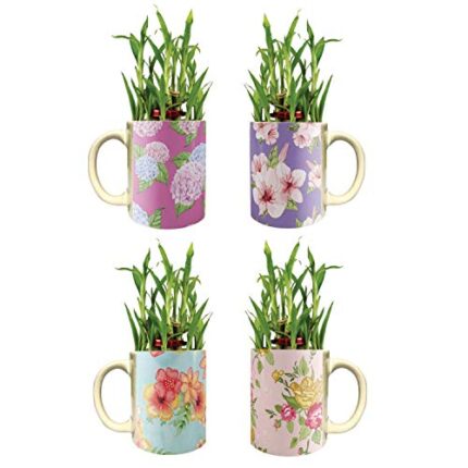 YaYa Cafe Floral Captivating Lucky Bamboo Mug Planter Indoor Plants Set of 4-2 Tier Bamboo Feng Shui - Image 1