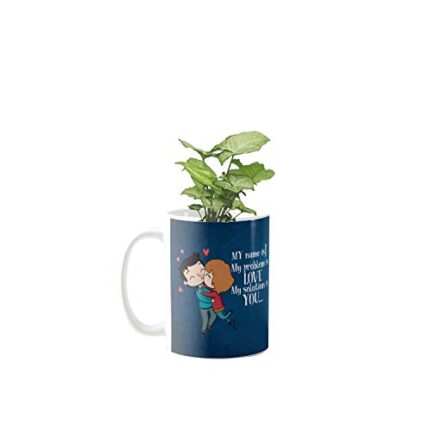 YaYa Cafe Valentine Gifts Exotic Syngonium Green Plant Indoor I Love You My Solution is You Printed Mug Planter | Air Purifying | Green Gifts | Feng Shui - Image 1