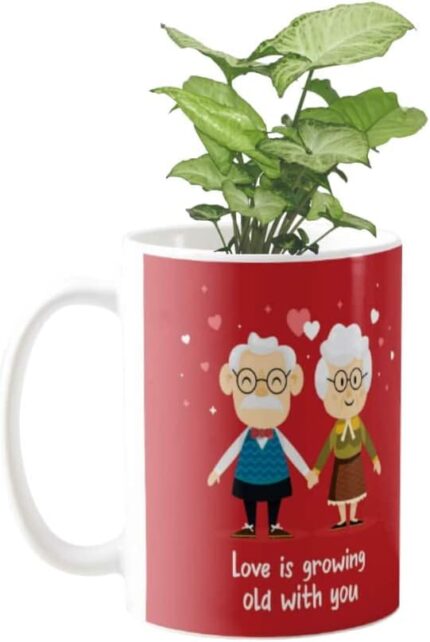 YaYa Cafe Valentine Gifts Exotic Syngonium Green Plant Indoor Love is Growing Old with You Printed Mug Planter | Air Purifying | Green Gifts | Feng Shui - Image 1