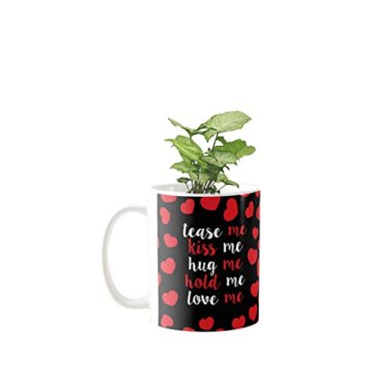 YaYa Cafe Valentine Gifts Exotic Syngonium Green Plant Indoor Tease Me Hug Kiss Hold Love Me Printed Mug Planter | Air Purifying | Green Gifts | Feng Shui - Image 1