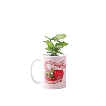 YaYa Cafe Valentine Gifts Exotic Syngonium Green Plant Indoor You are My Sweet Candy Printed Mug Planter | Air Purifying | Green Gifts | Feng Shui - Image 1