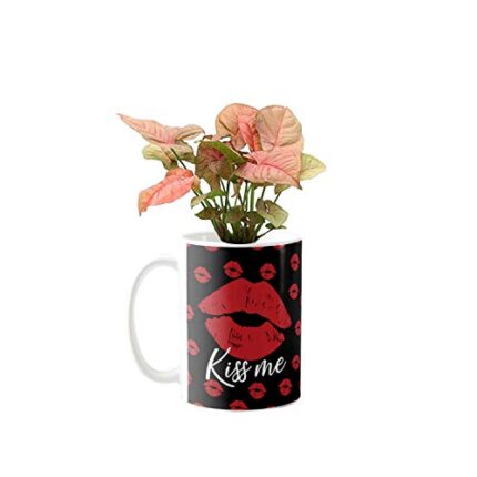 YaYa Cafe Valentine Gifts Exotic Syngonium Red Plant Indoor Naughty Kiss Me Printed Mug Planter | Air Purifying | Green Gifts | Feng Shui - Image 1