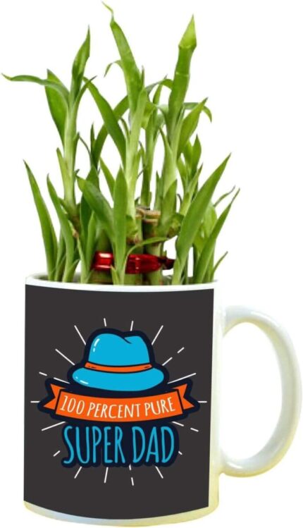 YaYa cafe Birthday Gifts for Father 100 Percent Pure Super Dad Feng Shui Lucky Bamboo Plant Indoor Mug Planter Pot - Image 1
