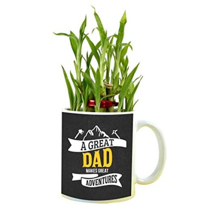 YaYa cafe Birthday Gifts for Father A Great Dad Makes Great Adventures Feng Shui Lucky Bamboo Plant Indoor Mug Planter Pot - Image 1