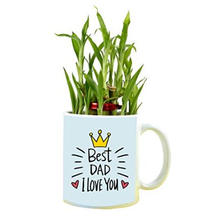 YaYa cafe Birthday Gifts for Father Best Dad I Love You Feng Shui Lucky Bamboo Plant Indoor Mug Planter Pot - Image 1