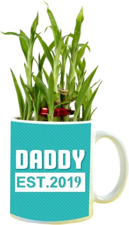 YaYa cafe Birthday Gifts for Father Daddy Established Feng Shui Lucky Bamboo Plant Indoor Mug Planter Pot - Image 1