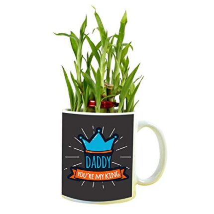YaYa cafe Birthday Gifts for Father Daddy You are My King Feng Shui Lucky Bamboo Plant Indoor Mug Planter Pot - Image 1
