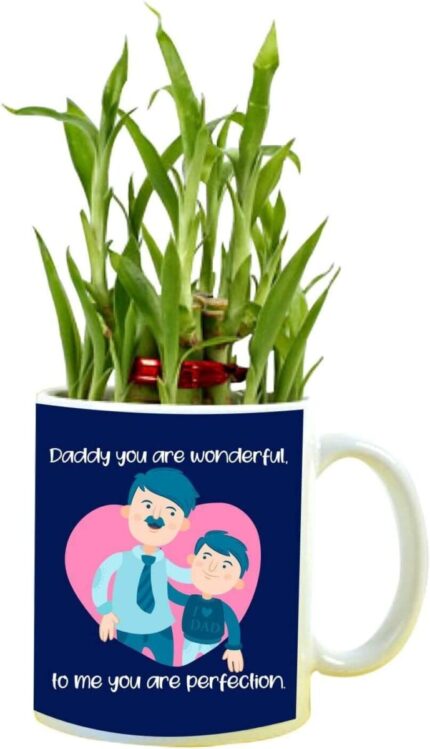 YaYa cafe Birthday Gifts for Father Daddy to Me You are Perfection Feng Shui Lucky Bamboo Plant Indoor Mug Planter Pot - Image 1